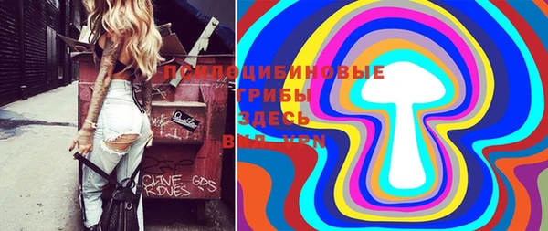 гидропоника Абдулино