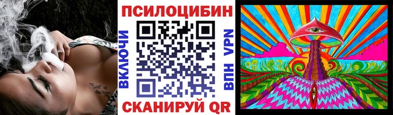 Галлюциногенные грибы Magic Shrooms  Камень-на-Оби 