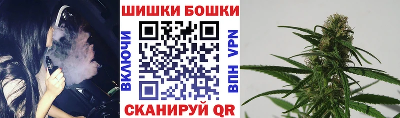 Бошки марихуана план  Камень-на-Оби 